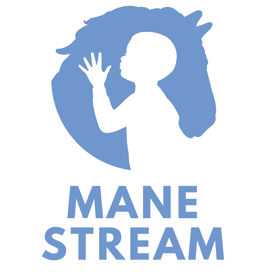 Mane Stream Lightweight Unisex Puffer Vest image 3